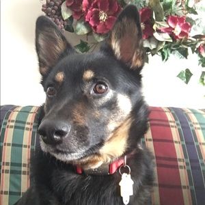 Meet your Posher, Clint